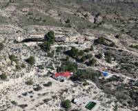 Resale - Finca - Country Property - Fortuna