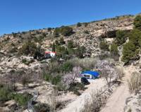 Resale - Finca - Country Property - Fortuna