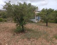 Resale - Finca / Country Property - Yecla