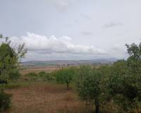 Resale - Finca / Country Property - Yecla