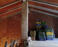 Resale - Finca - Millena