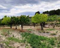 Resale - Finca - Millena