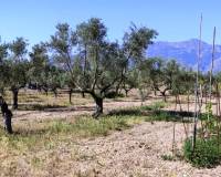 Resale - Finca - Muro de Alcoy