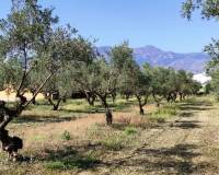 Resale - Finca - Muro de Alcoy