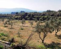 Resale - Finca - Muro de Alcoy