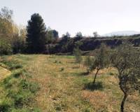 Resale - Finca - Muro de Alcoy