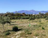 Resale - Finca - Muro de Alcoy