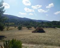 Resale - Finca - Ontinyent