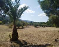 Resale - Finca - Ontinyent