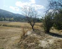 Resale - Finca - Ontinyent