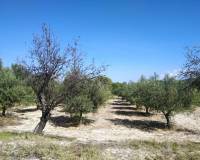 Resale - Finca - Ontinyent