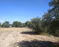 Resale - Finca - Ontinyent