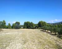 Resale - Finca - Ontinyent