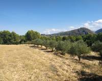 Resale - Finca - Ontinyent