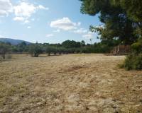 Resale - Finca - Ontinyent