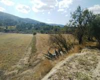 Resale - Finca - Ontinyent