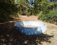 Resale - Finca - Ontinyent