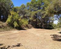 Resale - Finca - Ontinyent