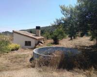 Resale - Finca - Ontinyent