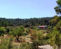 Resale - Finca - Penaguila - Penáguila