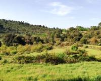 Resale - Finca - Penaguila - Penáguila