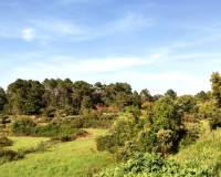 Resale - Finca - Penaguila - Penáguila