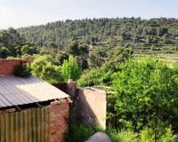 Resale - Finca - Penaguila - Penáguila