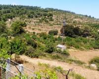 Resale - Finca - Penaguila - Penáguila