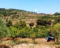 Resale - Finca - Penaguila - Penáguila