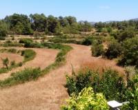 Resale - Finca - Penaguila - Penáguila