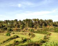 Resale - Finca - Penaguila - Penáguila