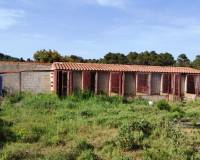 Resale - Finca - Penaguila - Penáguila