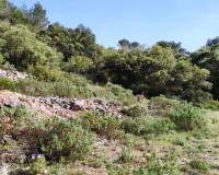 Resale - Finca - Penaguila - Penáguila