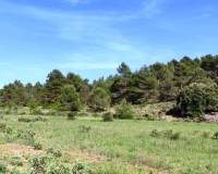 Resale - Finca - Penaguila - Penáguila