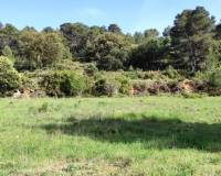 Resale - Finca - Penaguila - Penáguila