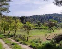 Resale - Finca - Penaguila - Penáguila