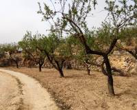 Resale - Finca - Penaguila - Penáguila