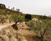 Resale - Finca - Penaguila - Penáguila