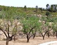 Resale - Finca - Penaguila - Penáguila