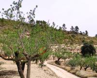 Resale - Finca - Penaguila - Penáguila