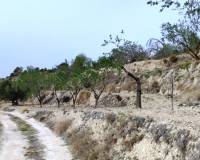 Resale - Finca - Penaguila - Penáguila