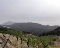 Resale - Finca - Penaguila - Penáguila