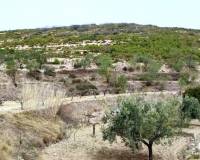 Resale - Finca - Penaguila - Penáguila