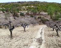 Resale - Finca - Penaguila - Penáguila