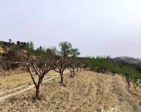 Resale - Finca - Penaguila - Penáguila