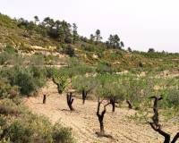 Resale - Finca - Penaguila - Penáguila