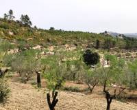 Resale - Finca - Penaguila - Penáguila