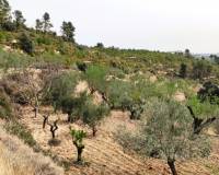 Resale - Finca - Penaguila - Penáguila