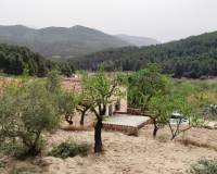 Resale - Finca - Penaguila - Penáguila