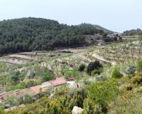 Resale - Finca - Penaguila - Penáguila